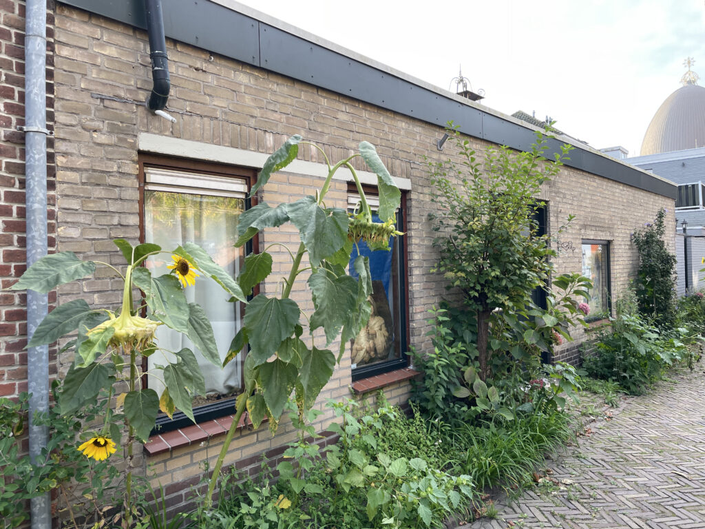 bungalow kozijn waalwijk